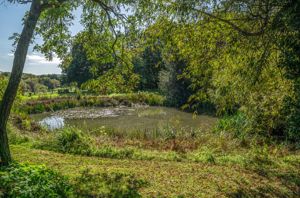 Photo 64- click for photo gallery